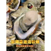 【🐈‍⬛黑貓媽媽】澎湖極品帶殼活牡蠣🦪保證活體出貨✨澎湖牡蠣 產地直送 活體 ［最新肥度看末圖］中秋烤肉 蚵仔 生蠔