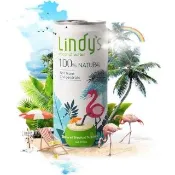 【Lindys】Lindys 100%原味香水椰子水24入 限宅配(皇家香水與泰國王椰子黃金比例)