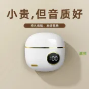 全球選品1館 生活百貨 2024新款無線藍芽耳機半入耳式降噪高音質復古數顯長續航