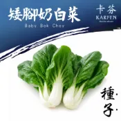 矮腳奶白菜種子「約600粒」奶油白菜 奶白菜 短腳白菜 黑葉白菜 蔬菜種子 蔬果種子 卡芬園藝