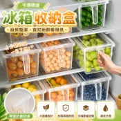 【平價精選】食品級冰箱收納盒保鮮盒廚房蔬菜水果整理盒冷凍雞蛋收納盒大容量