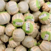 生曬小青柑/新會柑普茶/單包25球