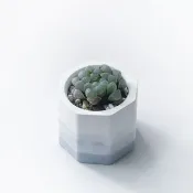 莫蘭迪紫系列 | 姬玉露 小八角形漸層水泥多肉植栽