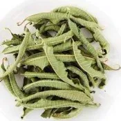 【花草】 馬鞭草 600g  檢驗合格另迷迭香 薄荷 薰衣草 馬鞭草 檸檬草 甜菊葉 桂花 茉莉花 洋甘菊 鼠尾草  品