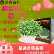 ✪妤珈寵物店✪附發票~源杏輕鬆玩苜蓿 一盒2盆 栽培盒 精心挑選優質種子 貓草 DIY 辦公室桌面 生態果蔬植物種子