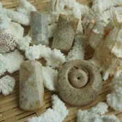 天然 珊瑚玉 菊花玉 墬子 無事牌 平安扣