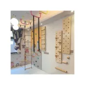 (店+)室內親子玩具 兒童成人攀岩牆 攀岩板插孔板 指力板 半球板 吊環 秋千玩具套裝