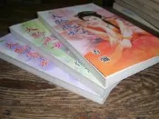 飛象小鋪...甜檸檬..香彌..大齡肥妃.佟芯.庶女.瑪奇朵...寡婦3本一套