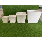 🌿綠旺園藝🌱多肉仙人掌四方盆🌵白色四方多肉盆 **2吋 3吋 4吋 5吋**