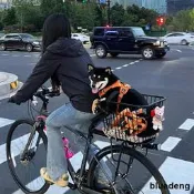 適用捷安特自行車後座架登山車快拆後貨架可載人尾架原裝配件大全