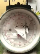 12公斤 台斤/兩/公斤/公克 磅秤 料理秤  自動秤 指針式磅秤 時鐘秤 彈簧秤 自動磅秤 下標需付露天2%手續費