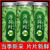 桃園出貨🏆薄荷葉幹 泡水 新鮮 幹嚼 薄荷茶 罐裝 博荷葉 新鮮貨 批髮 新品上新🎈 ZZ4W