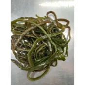 （佳巧小魚脯）鹽漬海帶絲300g600g