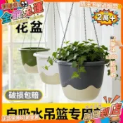 自吸水懶人塑料樹脂花盆陽臺懸掛式吊蘭盆客廳加厚綠蘿常春藤花盆