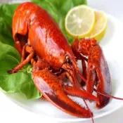 (店+)【海之醇】熟凍波士頓龍蝦450g