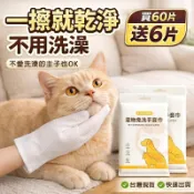寵物清潔手套🔥貓狗通用🔥溫和不刺激 寵物免洗手套 寵物清潔手套濕巾 懶人寵物清潔 乾洗清潔 貓咪乾洗手套 外出一次性清潔
