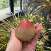 ✨宜興紫砂茶寵小壽桃茶盤擺件茶玩手把件原礦段泥可養包漿裝飾雕塑