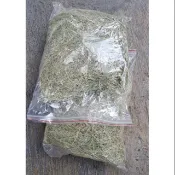 百慕達 牧草【500g】提摩西牧草 陸龜 天竺鼠 鼠類 兔子 鳥類 墊材 底材 磨牙 百慕達草