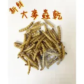 大麥蟲乾 烏龜飼料 蜜袋鼯飼料 魚飼料 爬蟲飼料 蟲乾 大麥蟲 1g