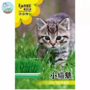 【原廠包裝】小貓草種子(Cat grass）小麥草種子 貓咪快樂草 天然化毛助消化 室內水耕土耕皆可 無農藥貓零食