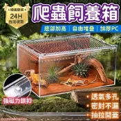 (店+)龜室｜爬蟲飼養盒 飼養箱 磁吸飼養籠 爬蟲爬寵塑膠飼養盒箱 壓克力亞克力爬蟲箱豹紋守宮睫角肥尾鬆獅蜥蜴角蛙螳螂蜘蛛蛇
