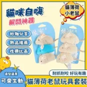 貓咪玩具 仿真小老鼠 寵物玩具 貓玩具套裝 貓咪解悶玩具 貓自嗨玩具 逗貓神器 貓咪互動玩具 內含貓薄荷 寵物用品