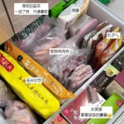 免運💗冰箱置物架 置物架 收納整理神器 雪糕置物架 隔斷內置隔板架 分層置物架 板冷凍室冷藏 分隔置物架