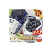 (店+)【果之蔬】日本巨峰貓眼葡萄-特大串 (每串約900g/串)水果禮盒.三節送禮