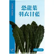 【天橙種子】恐龍葉羽衣甘藍種子 無頭甘藍 1公克(約300粒)  春秋播種 葉菜類  興農種苗 彩色原包裝