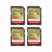 EC數位 SanDisk 晟碟 Extreme GO SD UHS-I 記憶卡 32 64 128 256 GB