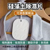 硅藻土除濕片 除濕 除臭 衣櫥除濕乾燥牌 矽藻土 除濕塊 除濕片 乾燥劑 防潮塊 防潮片