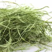 【小寵牧草嚴選館】小寵牧草多品種組合 過篩 甜小麦 提摩西一割 二割 百幕達 苜蓿 燕麥草 兔子龍貓豚鼠荷蘭豬