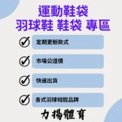 【力揚體育 羽球】 VICTOR YONEX MIZUNO 運動鞋袋 羽球鞋袋 羽球鞋 鞋袋 羽毛球鞋
