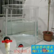 辦公室懶人魚缸小魚缸 創意魚缸 透明加厚錦鯉魚池魚缸家用帆布觀賞魚暫養池帆布水族箱刀刮布養殖