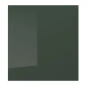 【IKEA 宜家家居】SELSVIKEN 門板, 高亮面 深橄欖綠, 60x64 公分