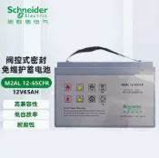 極樂藏寶閣 【免維護長效】鉛酸蓄電池 APC施耐德電池 不斷電系統電池 UPS電池 12V電池 38AH 65AH 75AH 100AH 120AH 深循環電池 高容量 穩定供電 機房備援