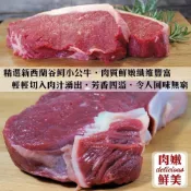 (店+)【海肉王超市】美國藍帶菲力牛排 (每片150g/片) 美國牛 美國牛肉 美國牛排 美國菲力