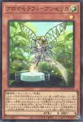 【這裡有桌遊】遊戲王 QCCU-JP162 芳香熾天使 歐白芷 (亮面) 