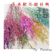 卡斯比亞 限時特價衝評價! 30元一份【卡絲比亞／永生卡斯比亞】乾燥花 花材 花束 手做 DIY 花藝 桌花 捧花