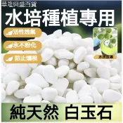 【華隆興盛百貨】多肉鋪面石小白石子白石頭鵝卵石雨花石花盆盆栽魚缸底部砂石造景