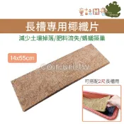 【台灣】【花園夢想家】長槽專用椰纖片(14x55cm) 單片  2尺花槽適用 天然椰纖墊片 花盆濾網底網 植物介質