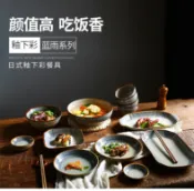 彩虹之屋 免運/可開票 日式和風復古手繪陶瓷餐具酒店餐廳壽司碗盤套裝N