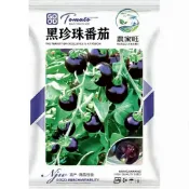 【原裝黑珍珠番茄種子】 台灣黑柿番茄 黑美人小番茄 黑玉番茄 盆栽蔬果種子 家庭菜園 陽台種植 可食用 產量高