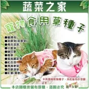 【蔬菜之家滿額免運】寵物食用草系列種子│貓草 生菜 種子 苜蓿草 黑麥草 黑燕麥 小麥草 百慕達草 豌豆嬰 牧草