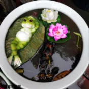 園藝擺件 庭院佈置 花園擺件 戶外擺件水缸造景魚缸魚池裝飾造景戶外花園創意仿真鴨子青蛙流水漂浮擺件