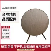 {愛享購}.熱賣B&O Play A.1 A9 M5音響維修服務 品牌配件便攜式無線藍牙音箱修詢價