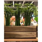 [ IKEA絕版品］📢 代購 IKEA  STJARNANIA 盆栽盒 盆栽架 花盆架 花架 置物架 展示架 綠植架
