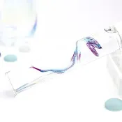 透明標本 那個魚 小鰭鐮齒魚 魚類標本 台灣海洋生物