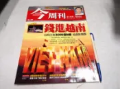 【懶得出門二手書】《今周刊460》錢進越南台商注資3000億台幣投資新樂園│七成新(B25C11)