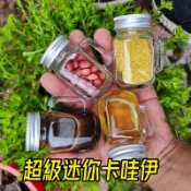 廚房大師-迷你玻璃梅森瓶 梅森杯 梅森罐  布丁瓶 保羅瓶 布丁杯 醬菜瓶 玻璃瓶 蜂蜜瓶 果醬 辣椒瓶 密封罐 糖果罐